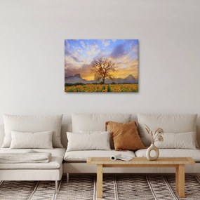 Kép - Táj napraforgóval (70x50 cm)
