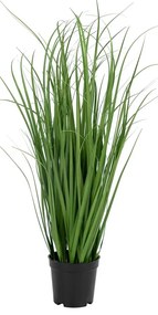 Fű műnövény (magasság 68 cm) Poa – House Nordic