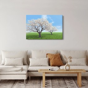 Fa képe (90x60 cm)