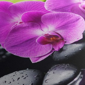 Kép - Orchideák (90x60 cm)
