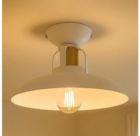 Brilagi - LED Felületre szerelhető csillár  FLAMENGO 1xE27/60W/230V fehér