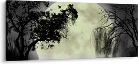 Kép - Telihold a felszín felett, fekete-fehér változat (120x50 cm)