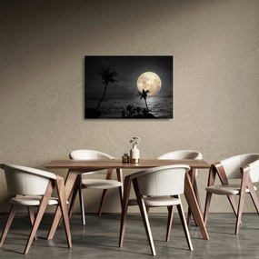 Kép - A strand a telihold alatt szürke tónusokkal (üvegen) (70x50 cm)