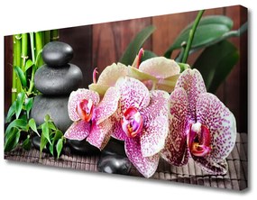 Vászonkép Bamboo Orchid Spa 100x50 cm