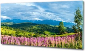 Fotó kép edzett üveg Virágok és pillangó 100x70