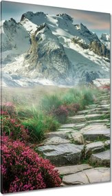 Festmények 80x120 Hegyi kilátás