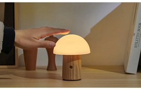 Natúr színű szabályozható asztali lámpa üveg búrával (magasság 13 cm) Alice – Gingko