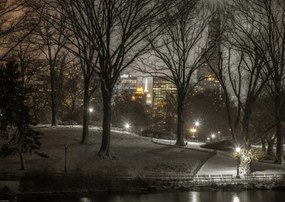 Poszter 59,4x42cm Central Park éjszaka, Assaf Frank
