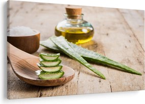 Kép - Aloe vera (90x60 cm)