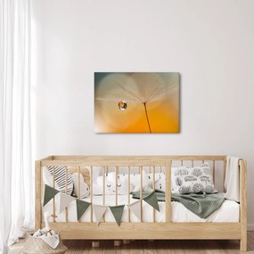 Kép - Makró virág (70x50 cm)