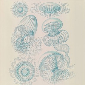 Fotótapéta Flizelina Nappali és Hálószoba Tengeri medúzák 250x250 Ragasztó