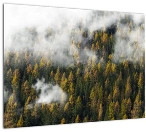 Egy erdő képe a felhők között (70x50 cm)