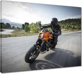 Vászonkép 50x40 Harley Davidson Motorkerékpár