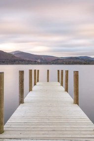 Poszter 61x91,5cm, Assaf Frank