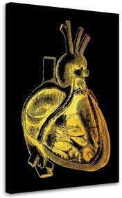 Gario Vászonkép Arany anatómia, a szív keresztmetszete - Gab Fernando Méret: 40 x 60 cm