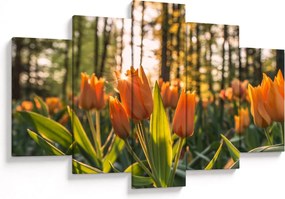 Kép - tulipánok (150x105 cm)