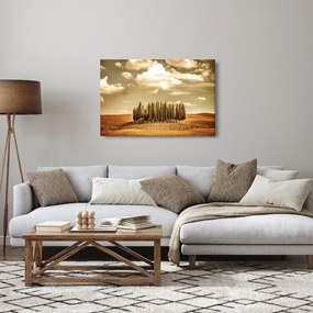 A Tisztás képe (90x60 cm)