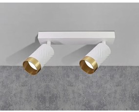 Spotlámpa ARRAS 2xGU10/10W/230V fehér