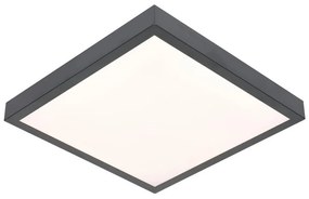 BOWI LED Mennyezeti lámpa VITALI LED/24W/230V SKU011656