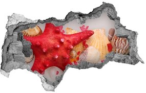 3d-s lyukat fali matrica Starfish és kagylók nd-b-75838454