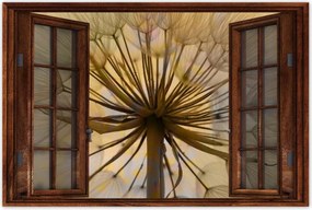 Poszterek 120x80 Pitypang Virág Virágok