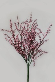 Rózsaszín mű seprűzanót (cytisus) 45cm