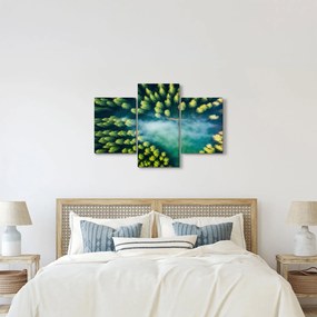 Kép - Egy ködbe burkolt erdő (90x60 cm)