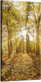 Vászonkép Nap a fák között az erdőben 40x80 cm