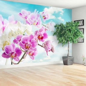 Fotótapéta kék orchideák 104x70 cm