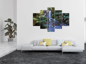 Ausztrál esőerdő képe (150x105 cm)