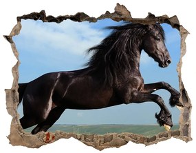 Lyuk 3d fali matrica Fekete ló a réten nd-k-26473191