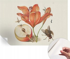 Dekoratív öntapadós fotótapéta az irodába Botanikus illusztráció 104x70