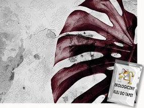 Fotótapéta Flizelina Natura Monster levelek betonon 350x250 ragasztó