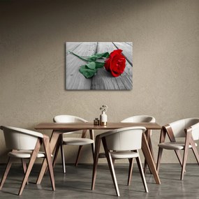Kép - Piros rózsa zöld szárral (70x50 cm)