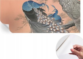 Dekoratív öntapadós fotótapéta páva elegancia 250x104 cm