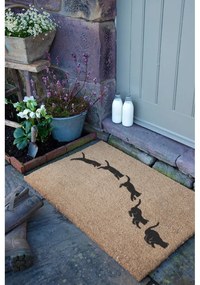 Kókuszrost lábtörlő 40x60 cm Jumping Cats – Artsy Doormats