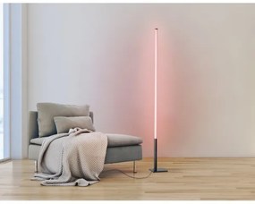 Eglo 75654 - LED RGB Dimmelhető állólámpa LED/13,5W/230V 2700-6500K + távirányító