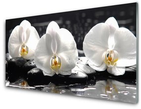 Akrilkép Fehér orchidea virág 120x60 cm 2 fogas