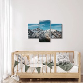 Havas csúcsok képe, Fiordland (90x60 cm)