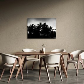 A fekete-fehér pálmafák képe (üvegen) (70x50 cm)
