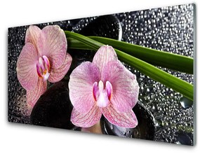 Fali üvegkép Orchidea virág orchidea Zen 100x50 cm 2 fogas