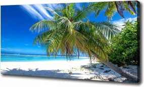 Vászonkép Trópusi tengerpart 100x70 cm