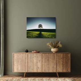 Természet kép - fa (üvegen) (70x50 cm)