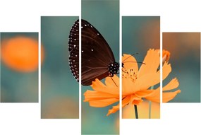 Kép - pillangó narancssárga virágon (150x105 cm)