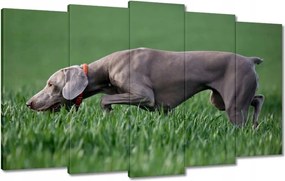 Vászonkép 100x60 Vadászkutya akcióban