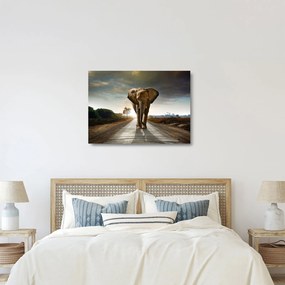 Elefánt képe (üvegen) (70x50 cm)