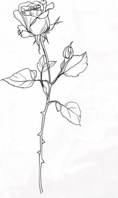 Poszter 59,4x84,1cm RĂłzsa kontĂșr