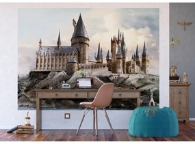 Gyerek fotótapéta Harry Potter Roxfort 252 x 182cm, 4 részes