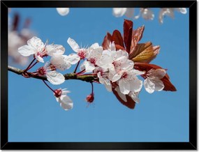 Poszterek keretben 40x30 Tavaszi felvétel a kertből