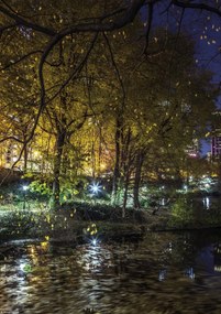 Poszter 21x29,7cm Esti kilĂĄtĂĄs a New York-i Central Parkra 7, Assaf Fra